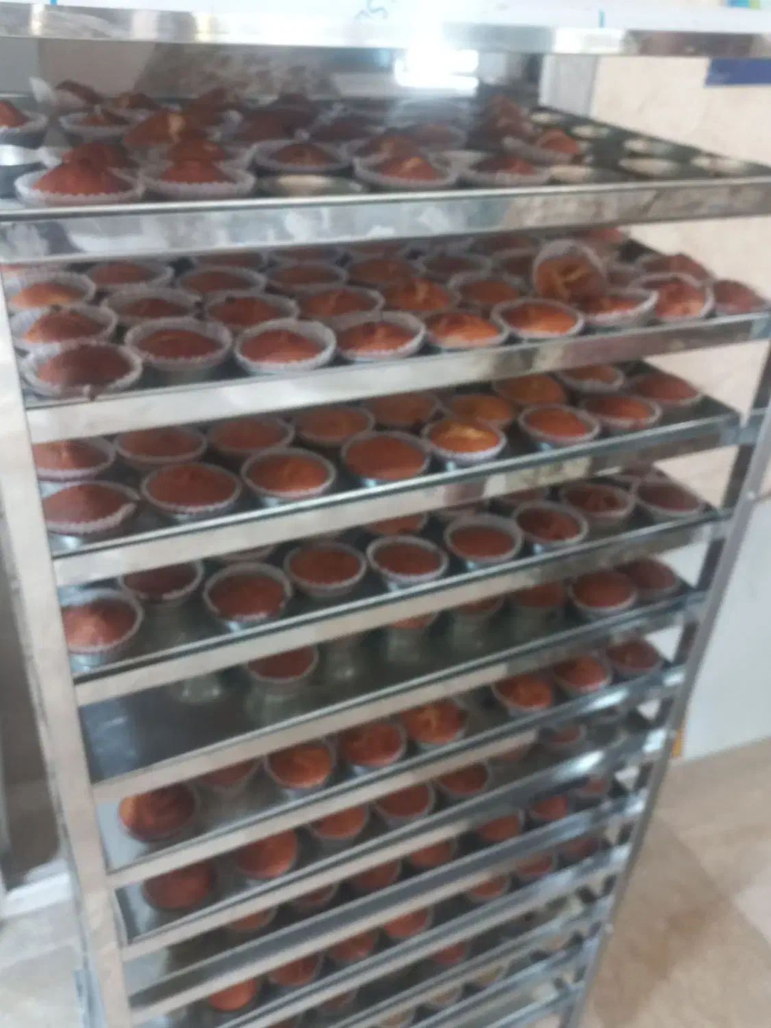 دستگاه فر شیرینی و کیک کانوکشن اصلی|کافی‌شاپ و رستوران|تهران, شهرک شریفی|دیوار