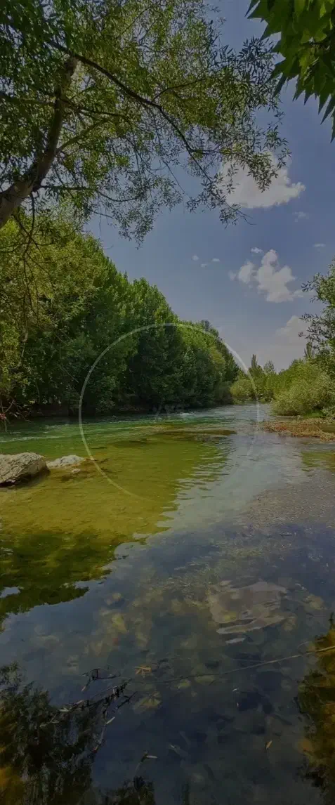 باغ فروشی مزرعه نو|فروش خانه و ویلا|کاشان, مزرعه نو|دیوار