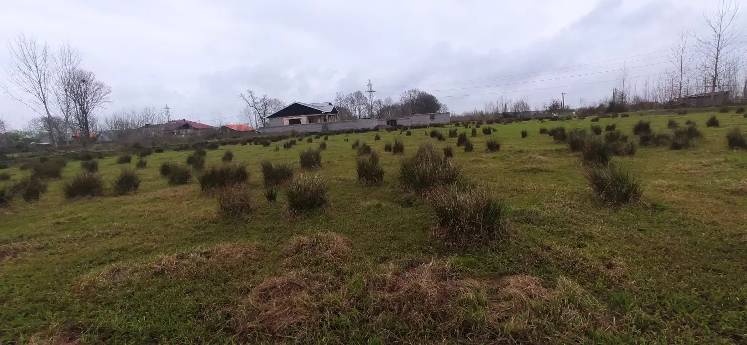 فروش زمین|فروش زمین و ملک کلنگی|رشت, احمد گوراب|دیوار