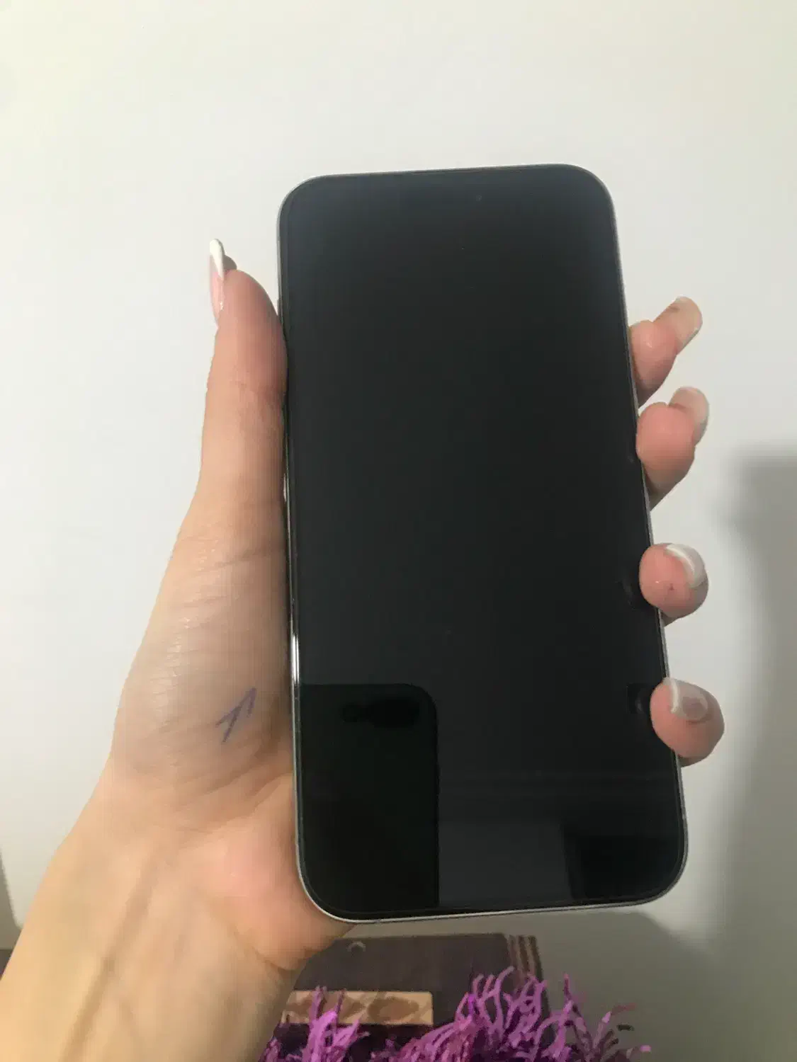 iphone 15 pro max zaa پک اصلی|موبایل|رشت, دیلمان|دیوار