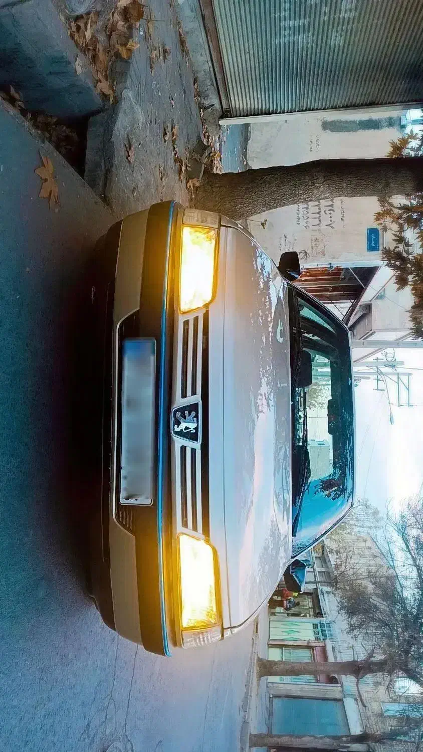 ۴۰۵ بژ سلامت|خودرو سواری و وانت|ملایر, |دیوار