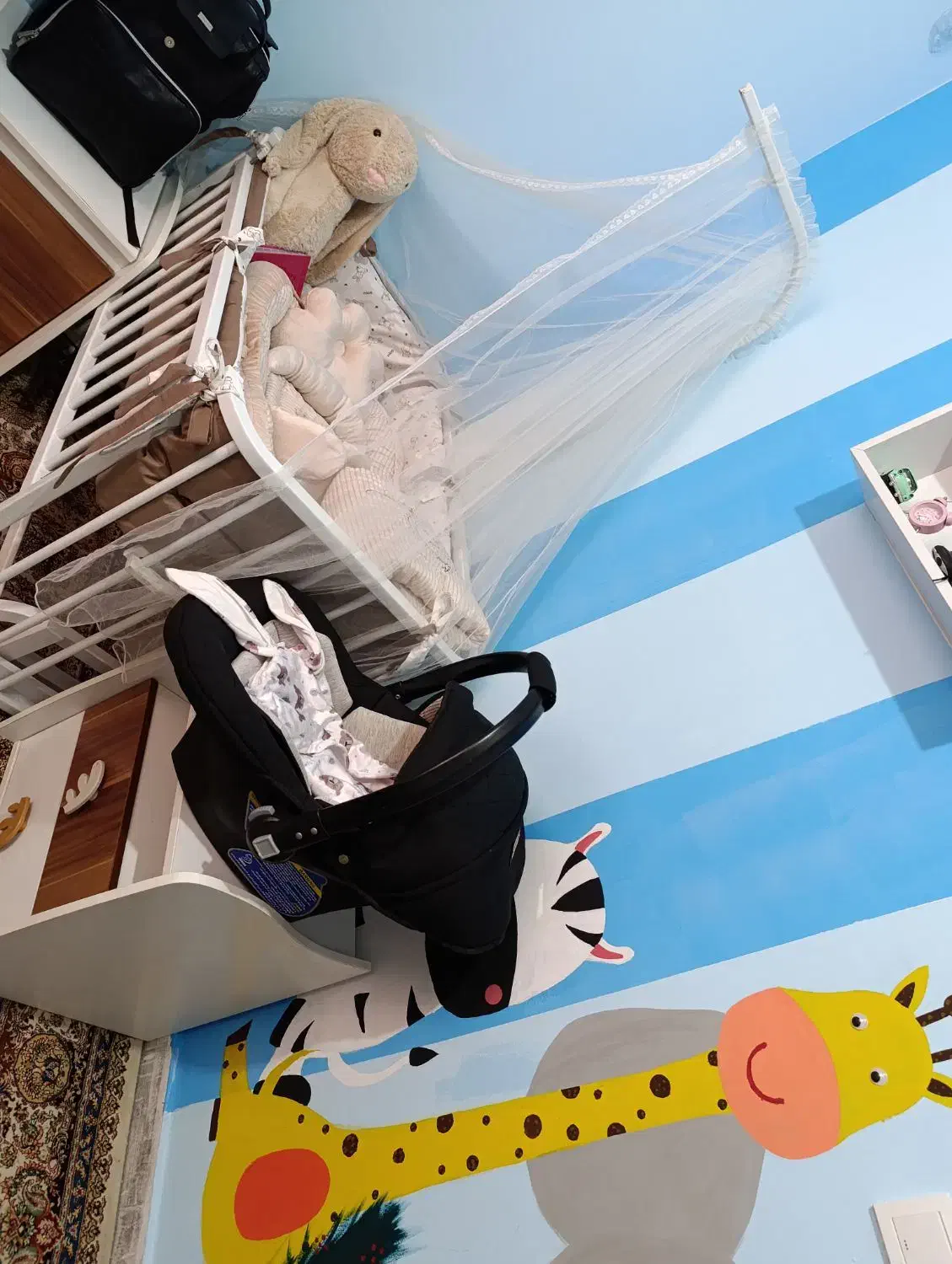 تخت نوزادی|تخت و صندلی بچه|ساری, |دیوار