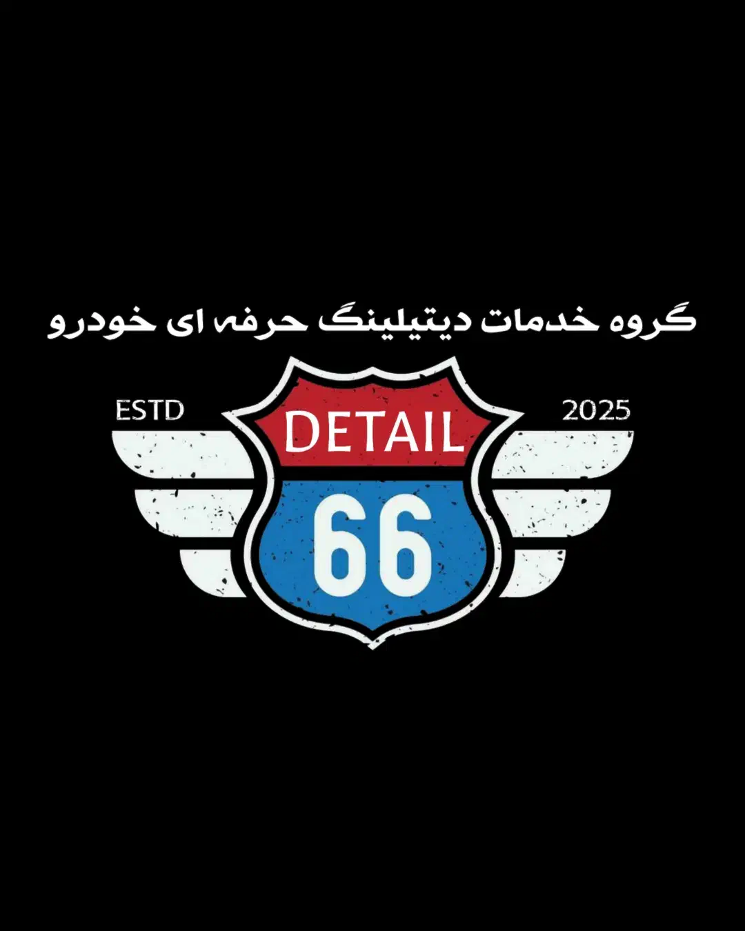 پولیش سیار|خدمات موتور و ماشین|تهران, کیانشهر|دیوار