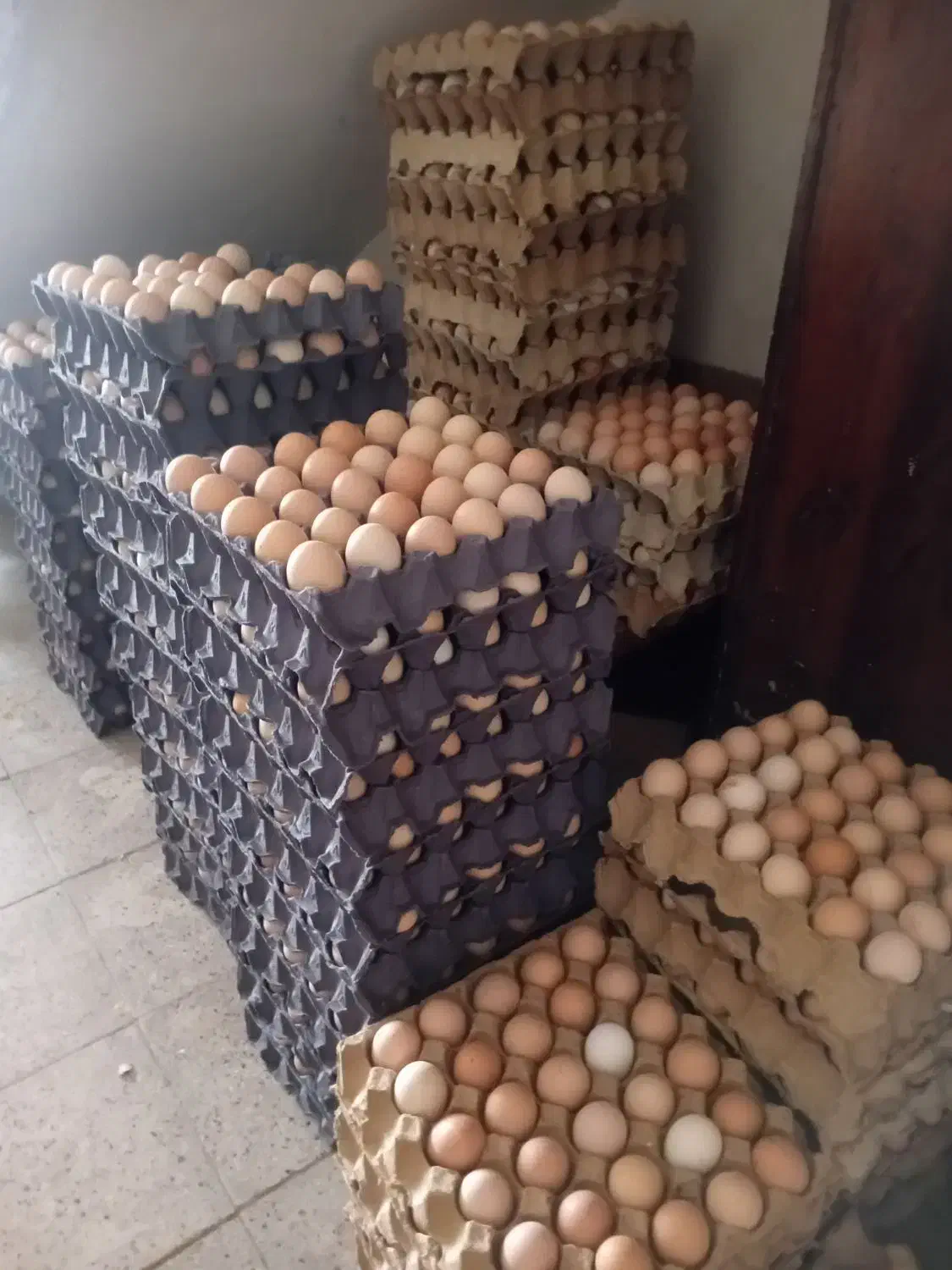 تخم مرغ محلی|خوردنی و آشامیدنی|مشهد, پنجتن|دیوار