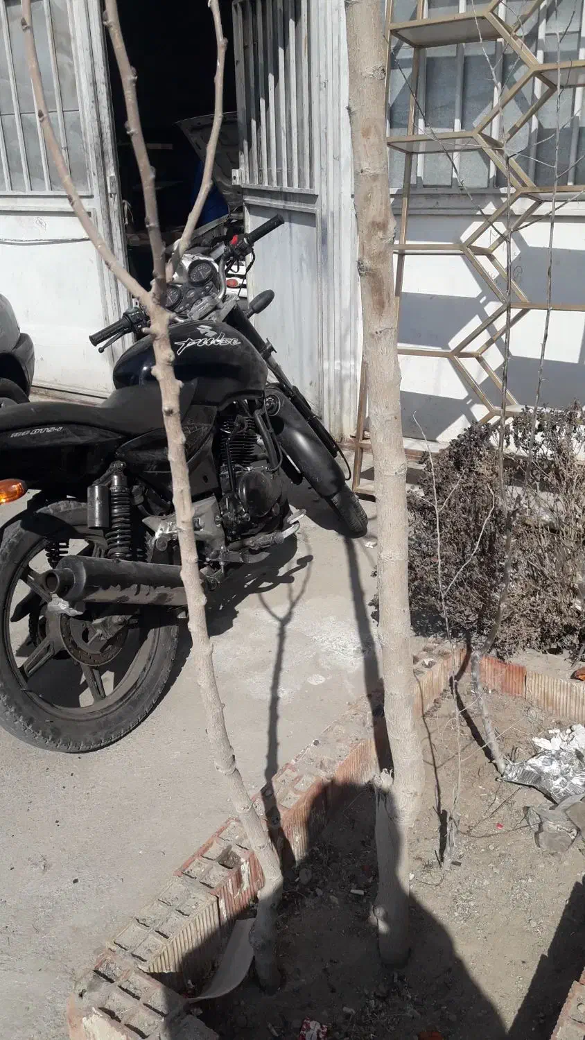 موتور مزایده پالس|موتورسیکلت|تبریز, |دیوار