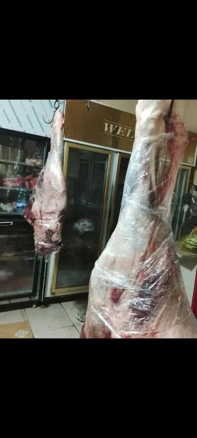 گوشت گرم گوساله 750 و گوشت بره 630|خوردنی و آشامیدنی|شیراز, شهرک گلها|دیوار