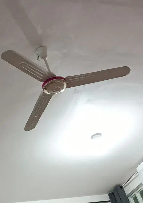 پنکه ارشیا/ ۳پره|پنکه و تصفیه‌کنندهٔ هوا|پلدختر, |دیوار