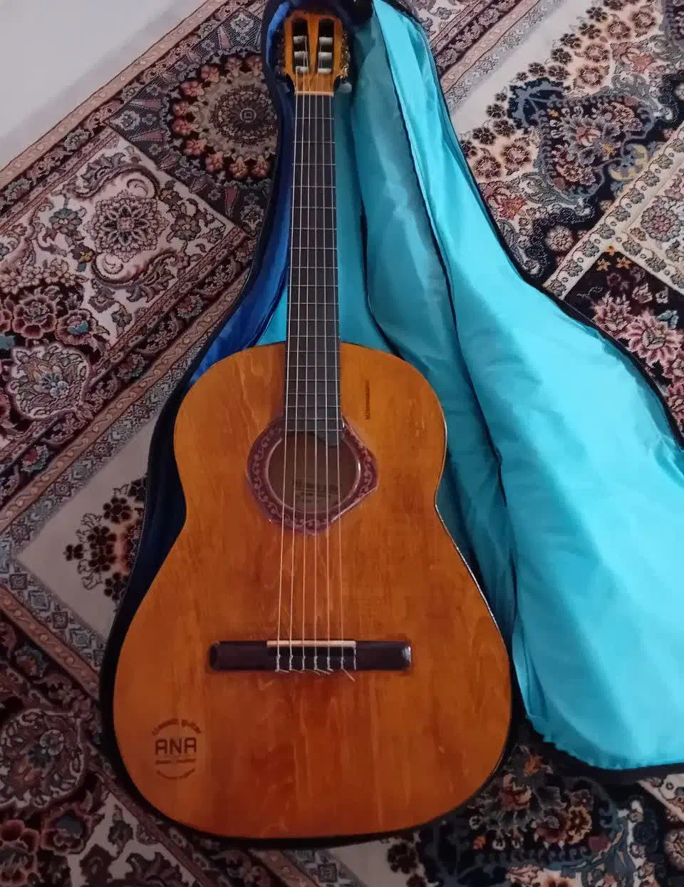 گیتار|گیتار، بیس، امپلیفایر|تربت‌حیدریه, پائین ولایت|دیوار