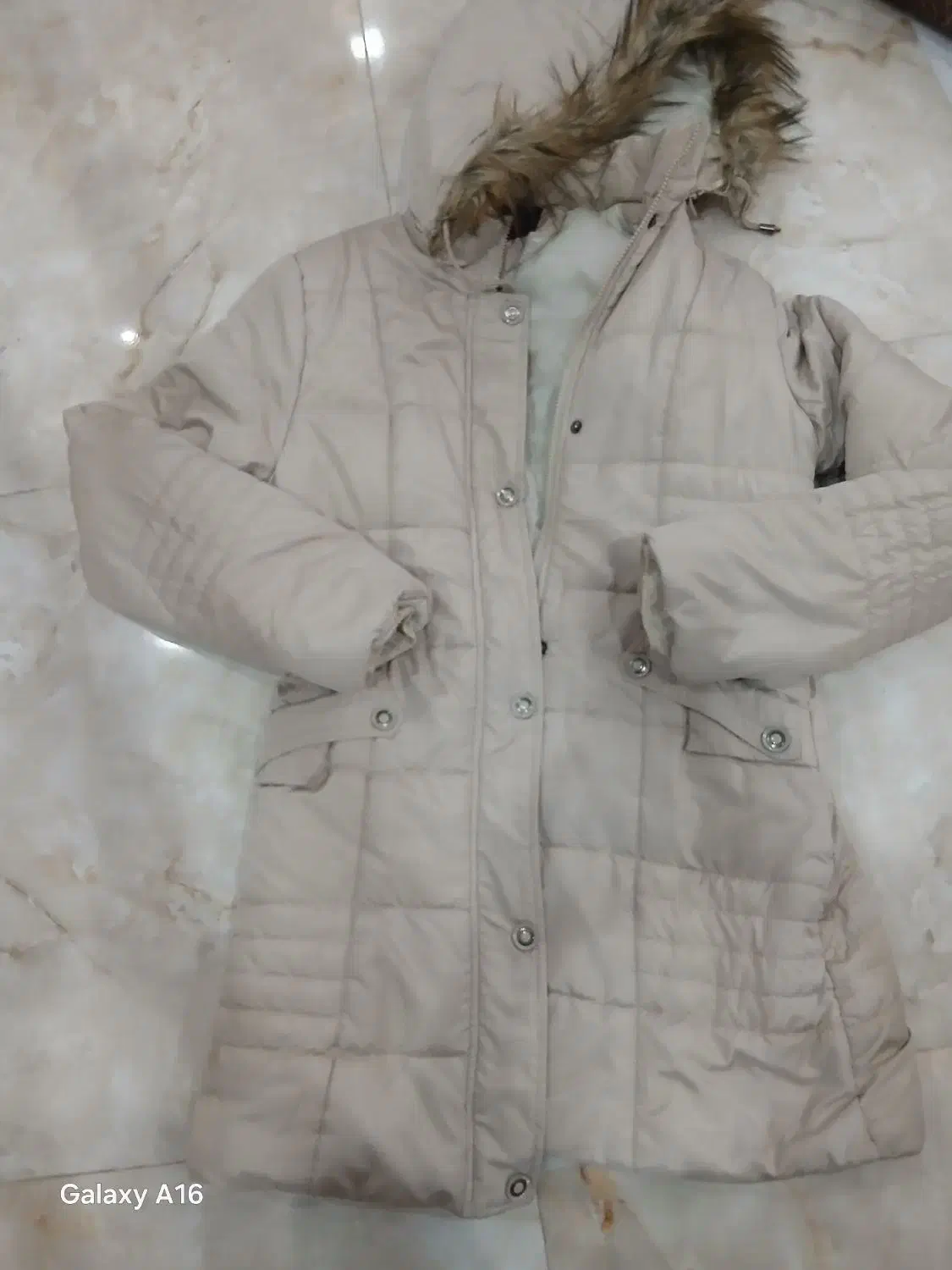 کاپشن دخترونه|لباس|رشت, حمیدیان|دیوار