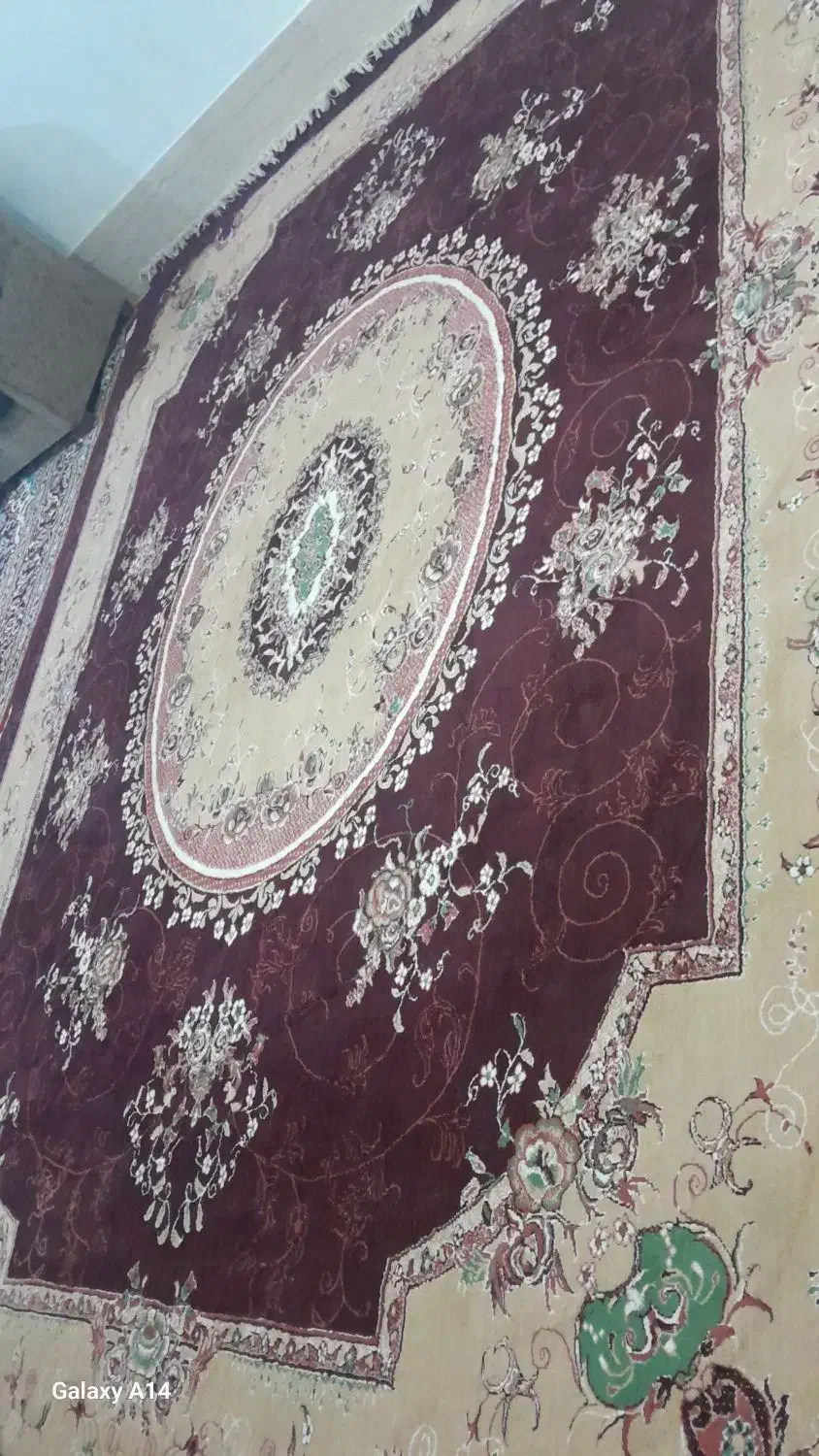 فرش ۱۲ متری|فرش|سبزوار, شرق کال جنوبی (شمس آبادی)|دیوار