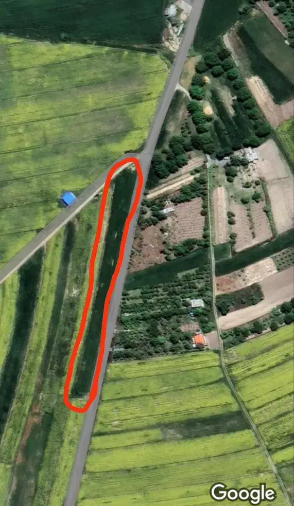 زمین کشاورزی آبی مناسب باغداری|فروش دفتر صنعتی، کشاورزی، تجاری|بیلوار, |دیوار