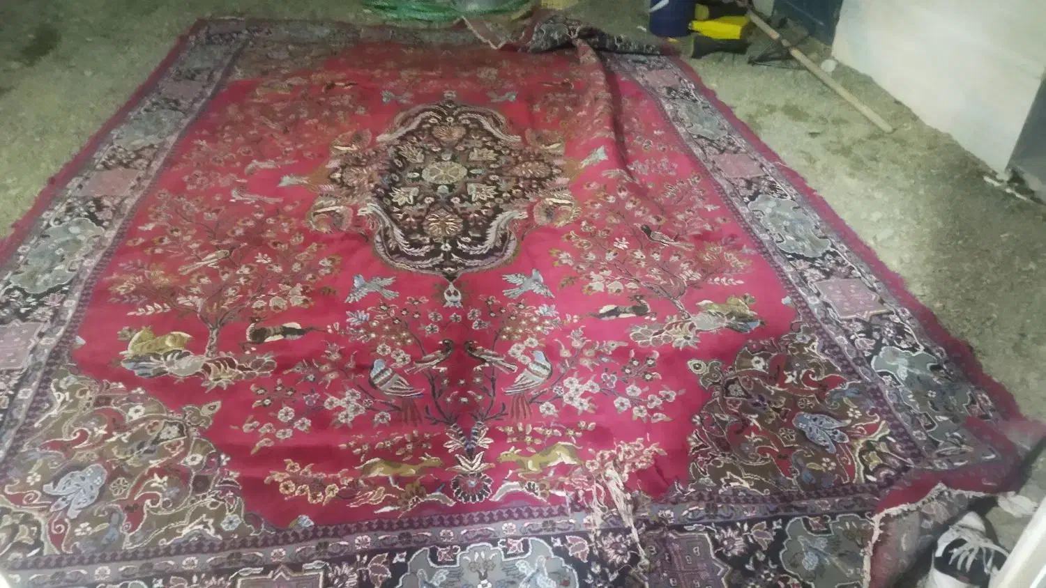 فرش 12 متری درحدنو|فرش|کوهدشت, |دیوار