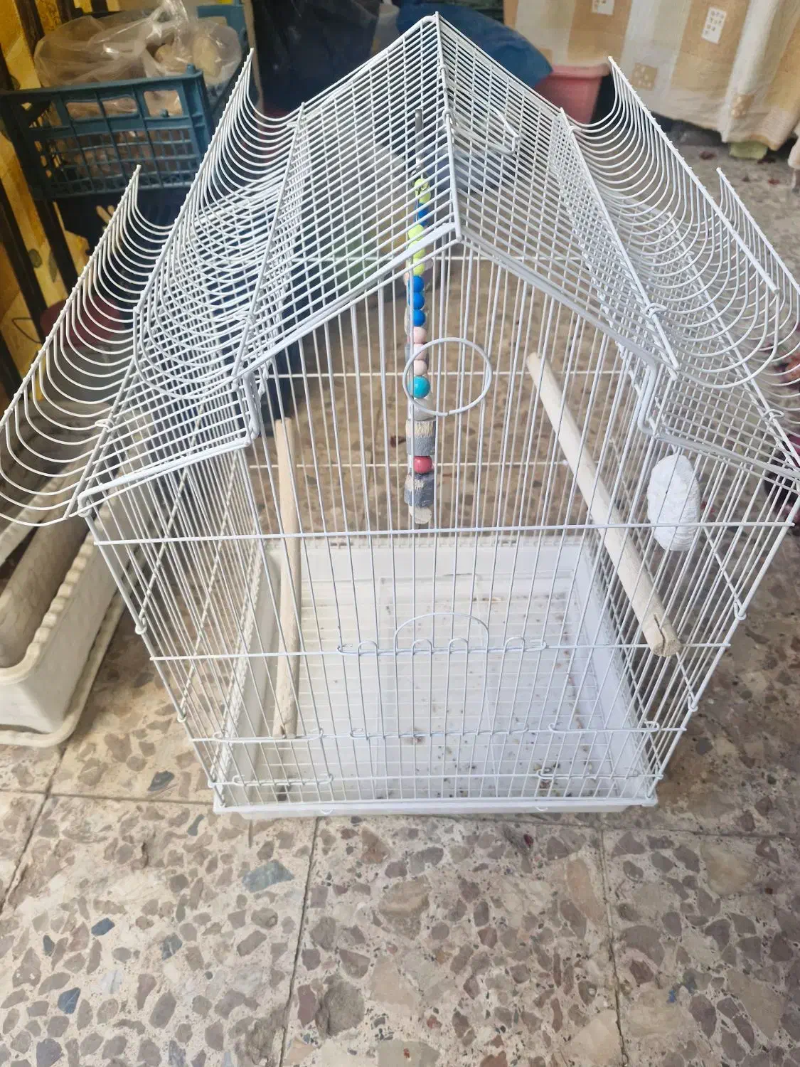 قفس پرنده|لوازم جانبی حیوانات|همدان, |دیوار