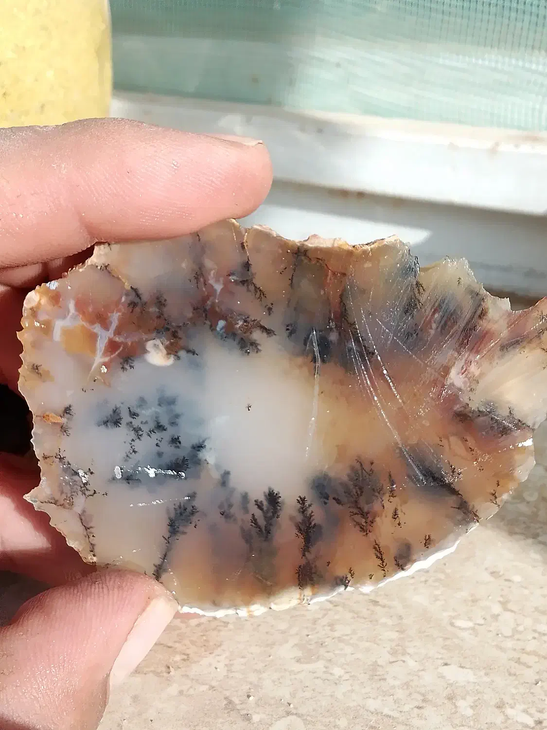 شجر|جواهرات|مرودشت, شهرک مهدیه|دیوار