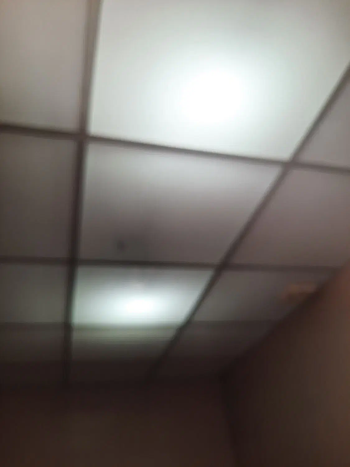 سقف کاذب وتایل ۶۰ در۶۰|خدمات پیشه و مهارت|یزد, |دیوار