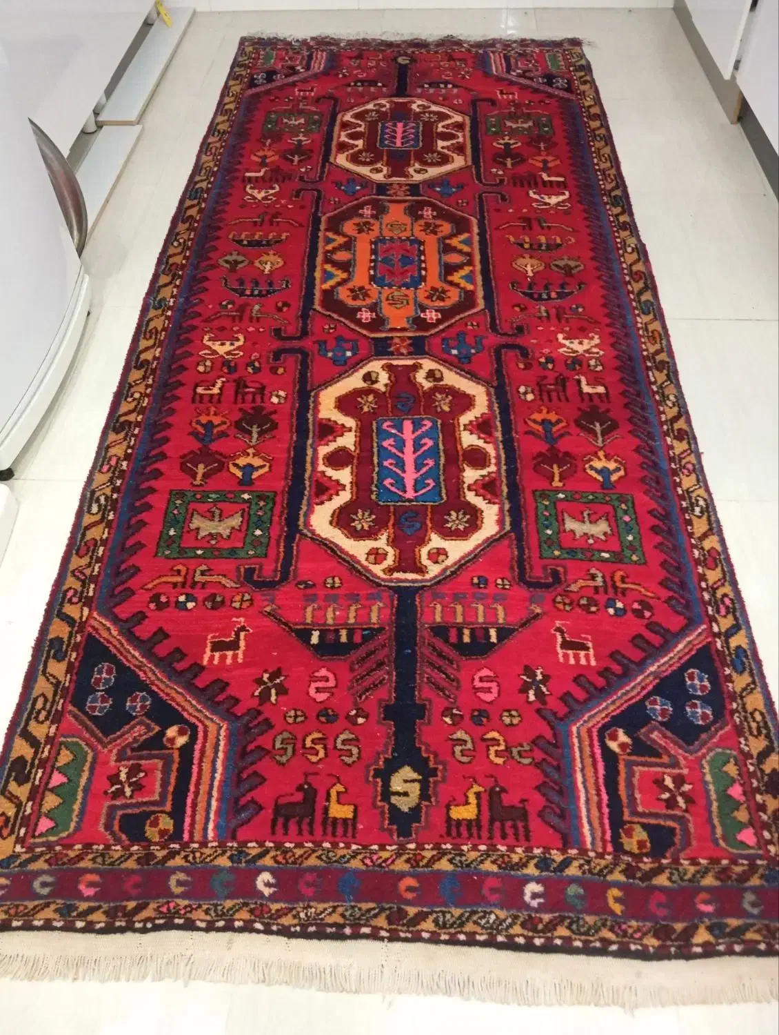 کناره|فرش|میانه, |دیوار