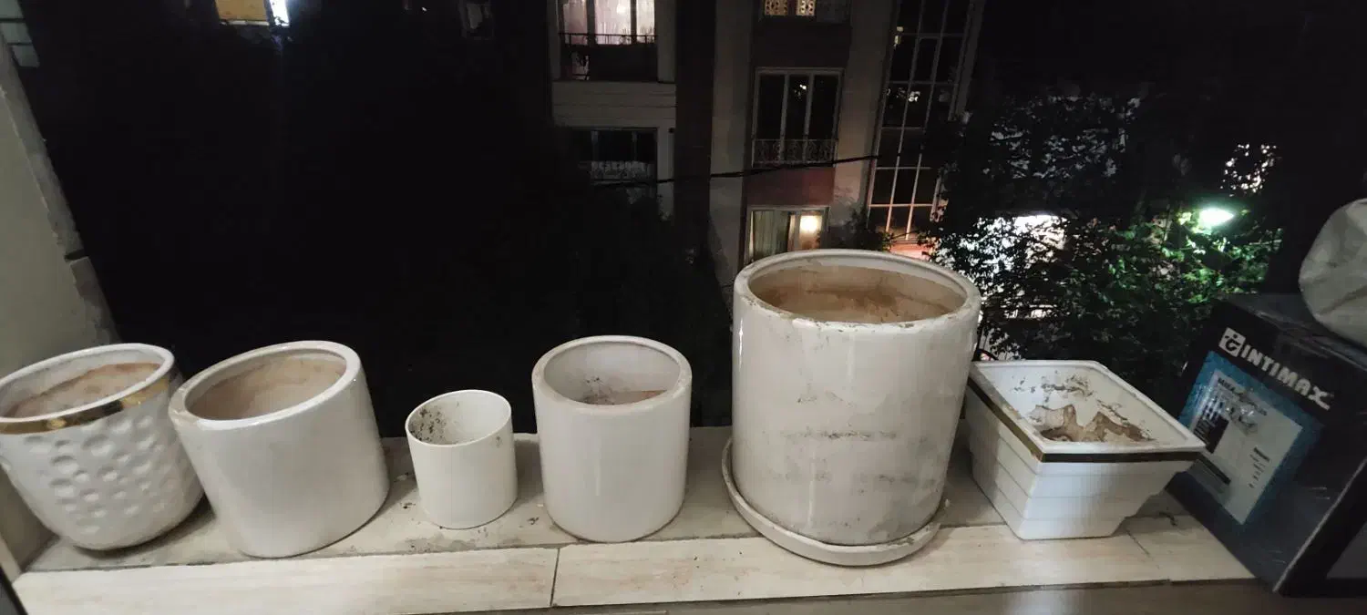 گلدان چینی|گل و گیاه طبیعی|تهران, دولاب|دیوار