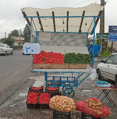 گاری میوه|فروشگاه و مغازه|رشت, شکار اسطلخ|دیوار