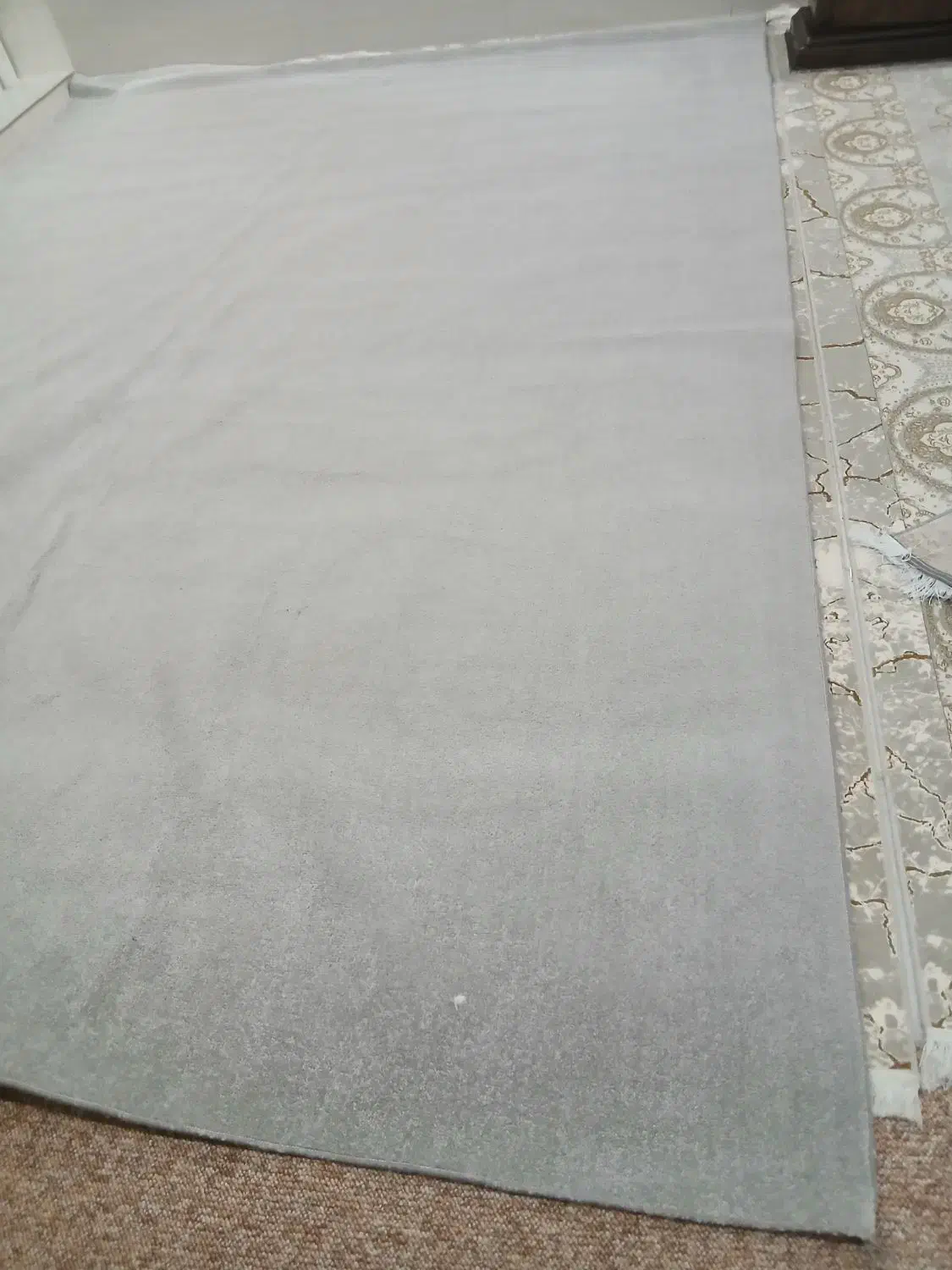 موکت|موکت|مرودشت, ژیان|دیوار