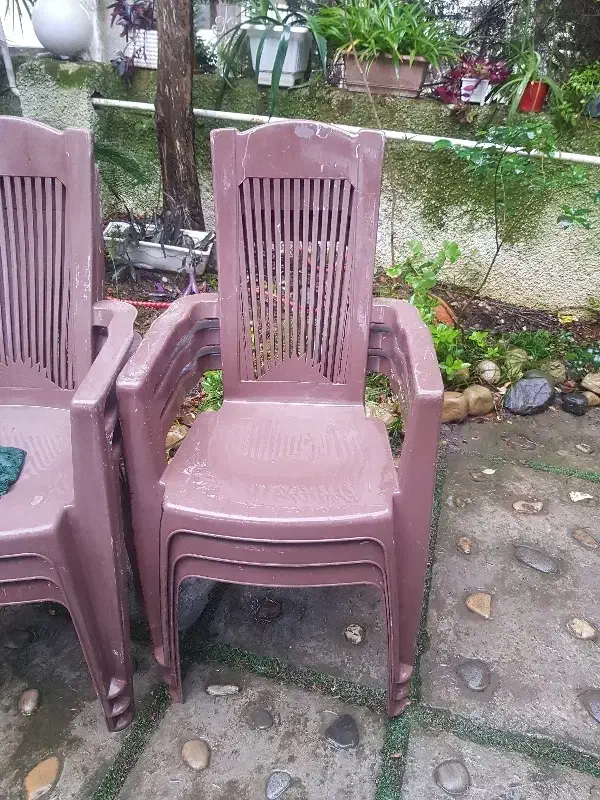 ۶ عدد صندلی پلاستیکی|میز و صندلی غذاخوری|نوشهر, |دیوار