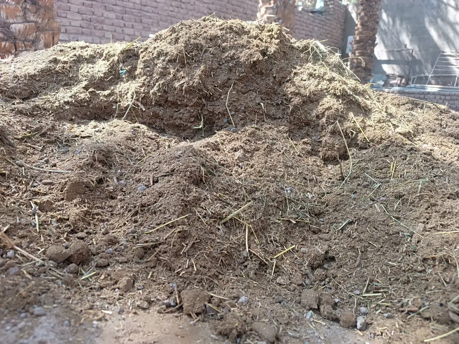 خاک گوسفند و اسب یک دست|گل و گیاه طبیعی|بم, |دیوار