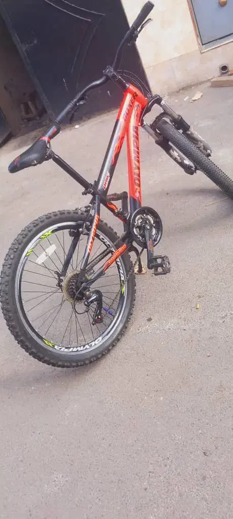 دوچرخه 24 المپیا|دوچرخه، اسکیت، اسکوتر|رشت, جانبازان|دیوار