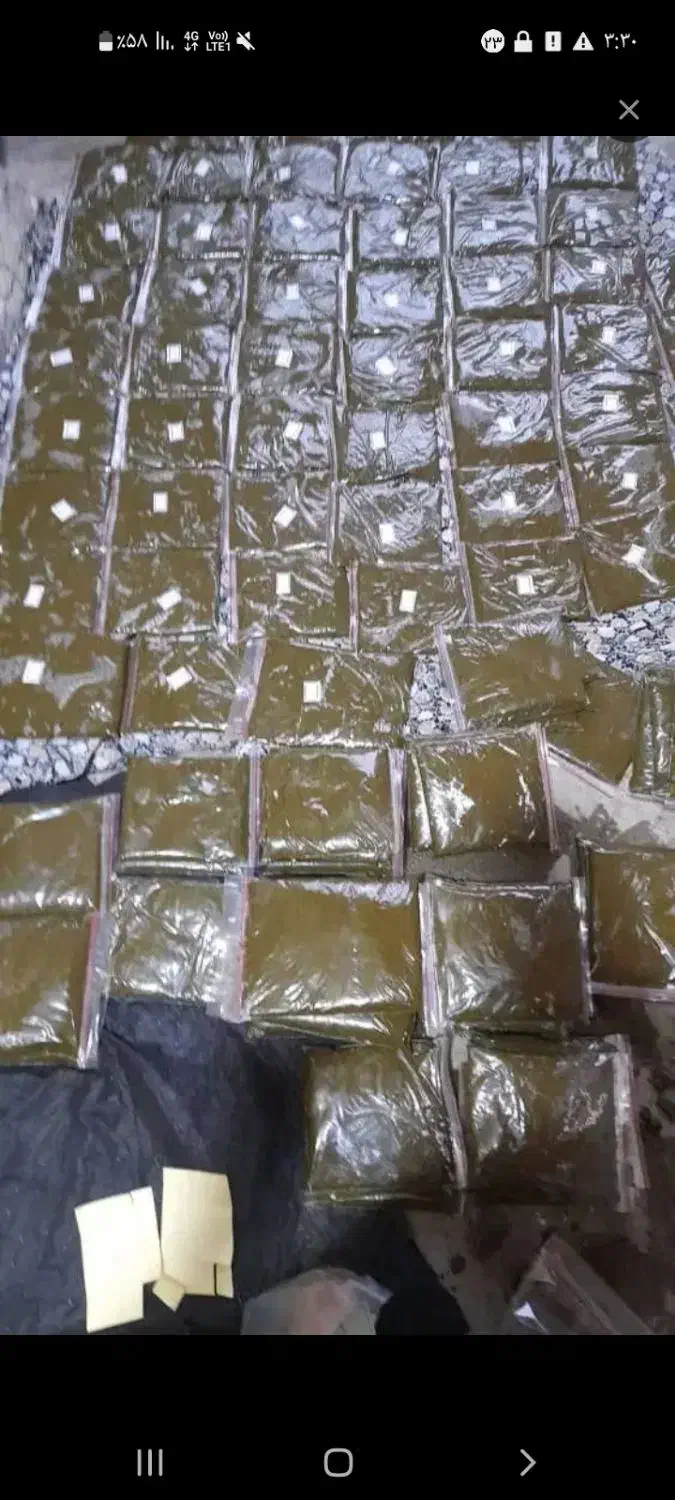 سبزی|حراج|شادگان, |دیوار