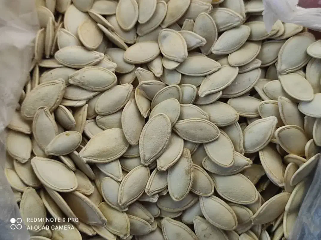 لوبیا چیتی و تخمه کدو سیب زمینی هم موجود می باشد.|خوردنی و آشامیدنی|سده (فارس), |دیوار