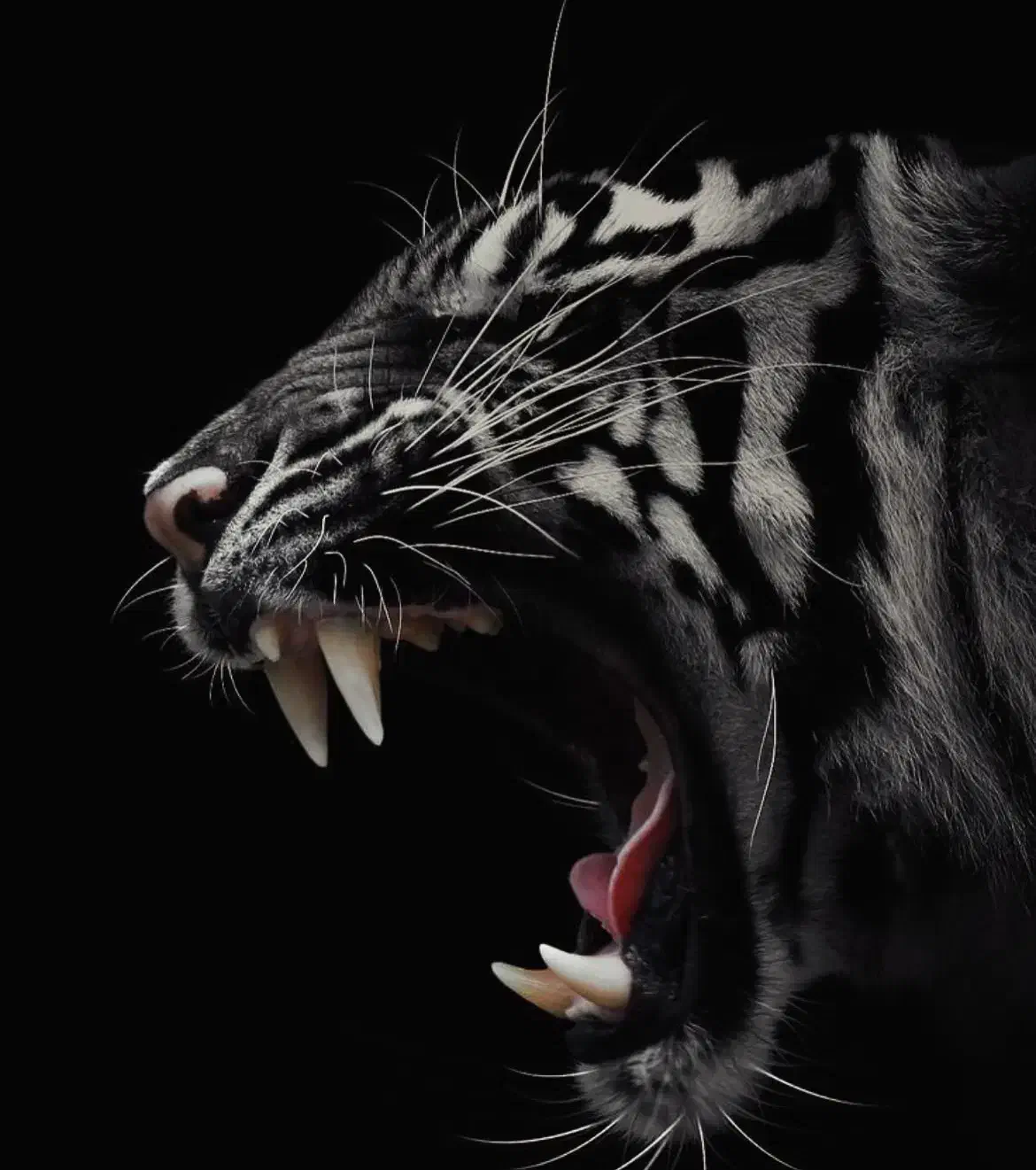 آموزش نقاشی و طراحی|خدمات آموزشی|تهران, فلسطین (میدان انقلاب)|دیوار