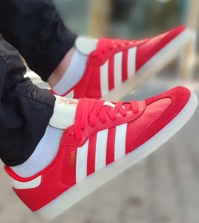 adidas samba 41 سفارش باشگاه بنفیکا|کیف، کفش، کمربند|تهران, شهرک غرب|دیوار