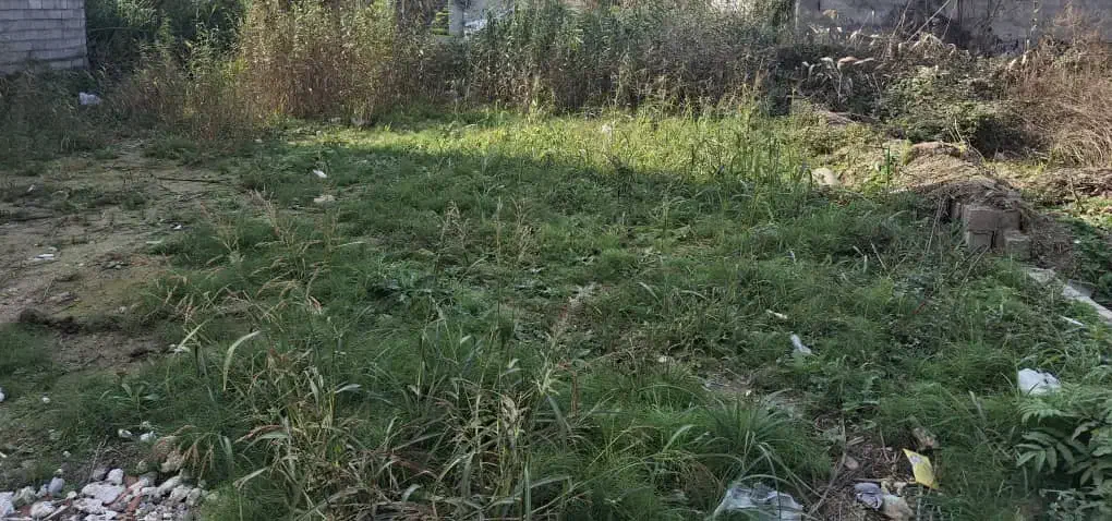 مشارکت در ساخت|مشارکت در ساخت املاک|محمودآباد, |دیوار