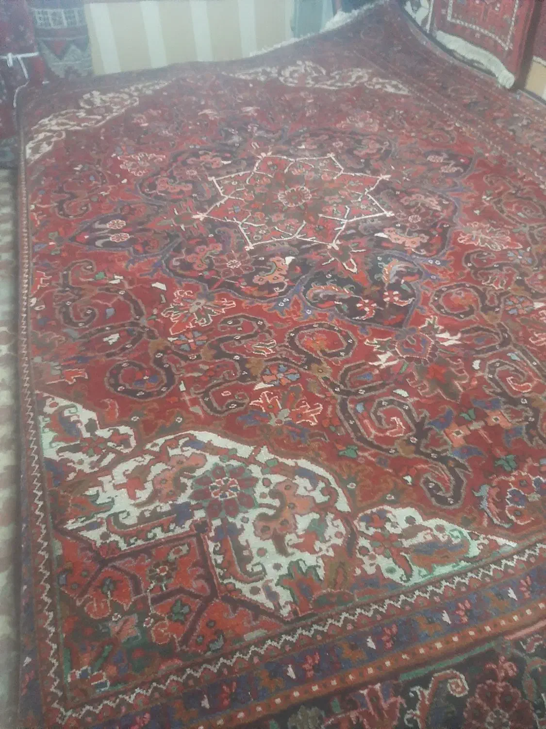 ۹متری شربیان|فرش|مراغه, |دیوار