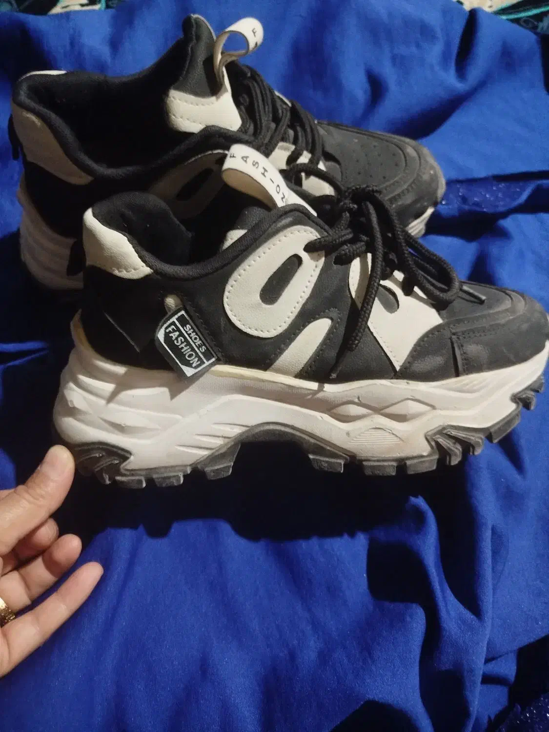 کفش|کیف، کفش، کمربند|یاسوج, |دیوار