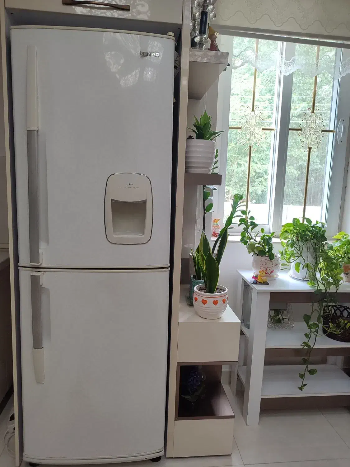 یخچال و فریزر|یخچال و فریزر|آستانه اشرفیه, |دیوار