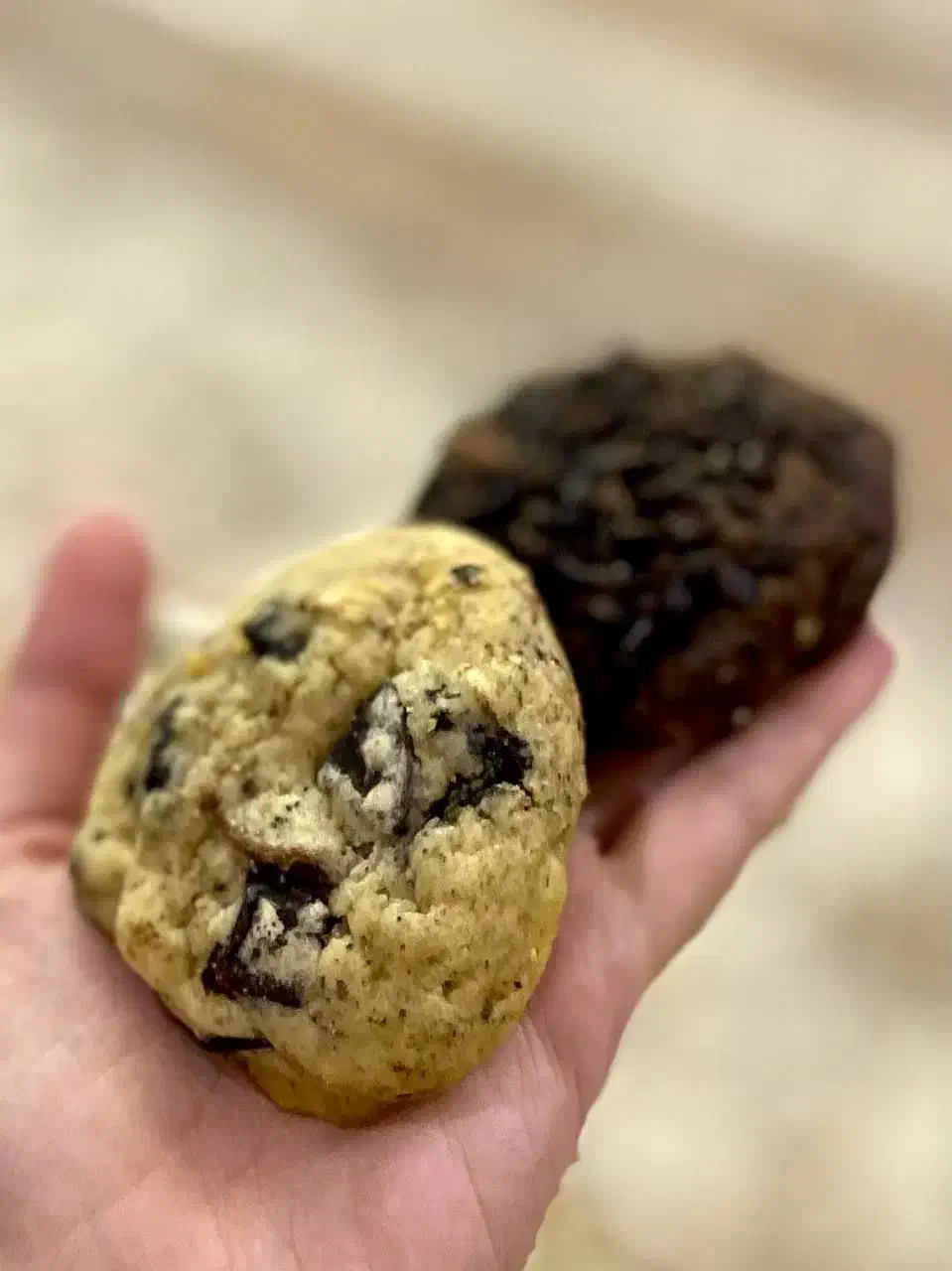 کیک و کوکی کافه قنادی|خوردنی و آشامیدنی|اردکان, |دیوار