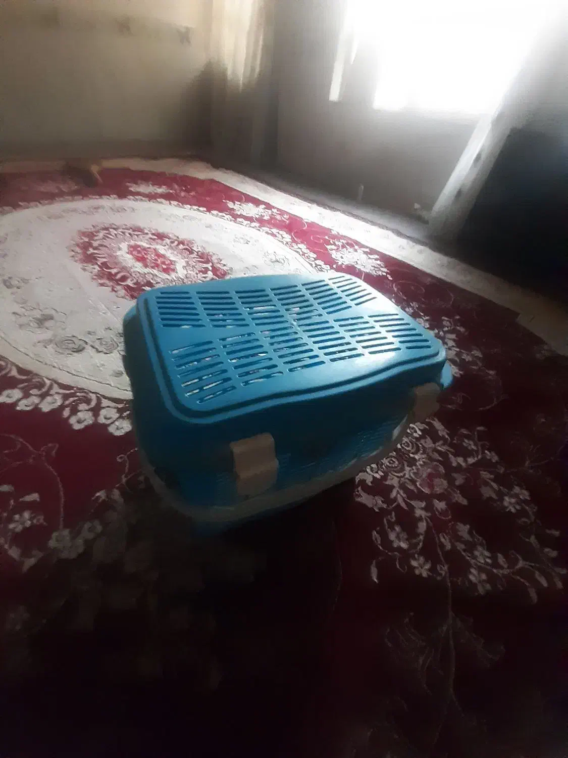 سبد پیک نیک|ظروف نگهدارنده، پلاستیکی، یک‌بارمصرف|مشهد, موعود|دیوار