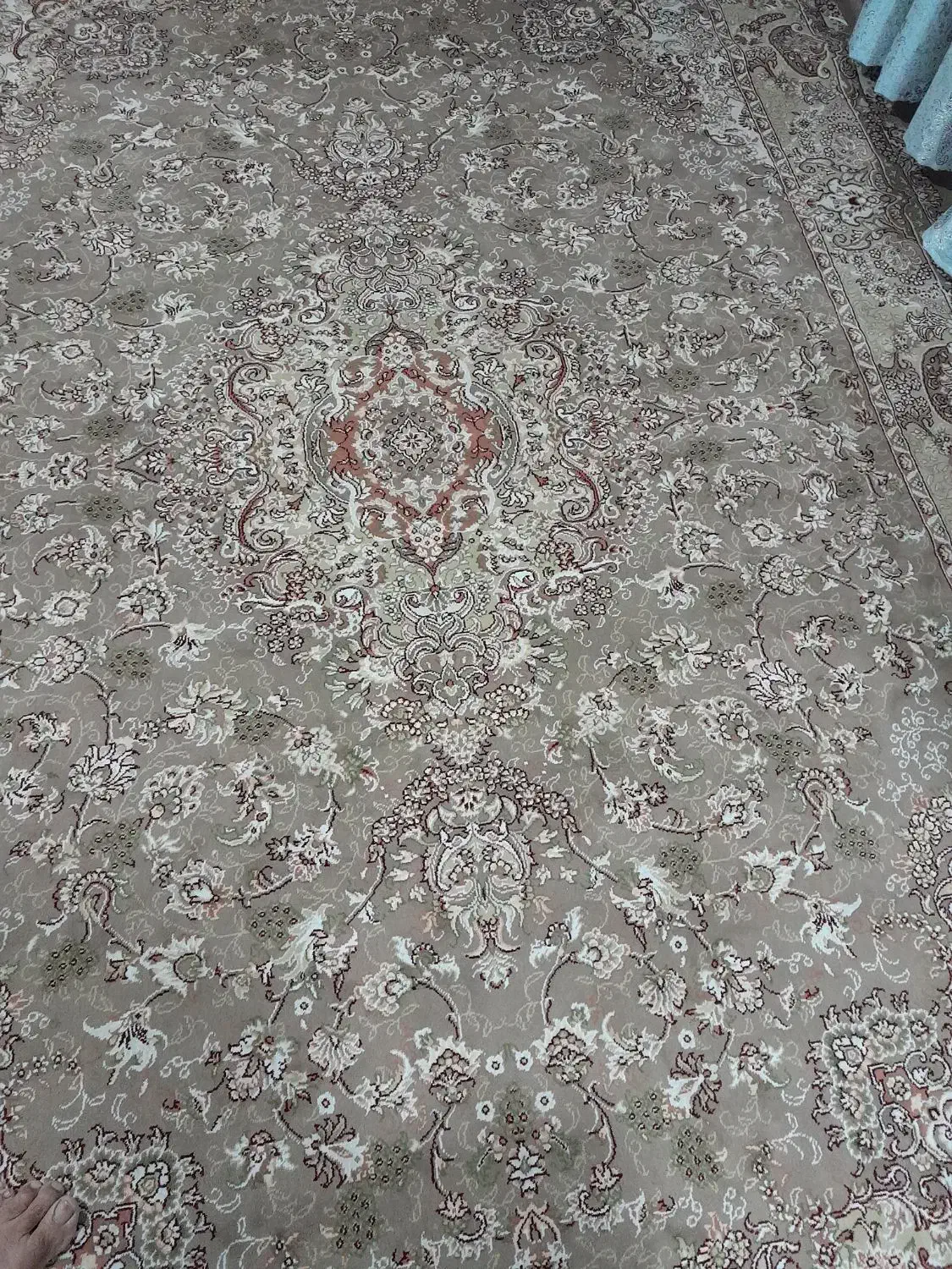 ۴تخته فرش ۶متری گردویی|فرش|نوشهر, |دیوار