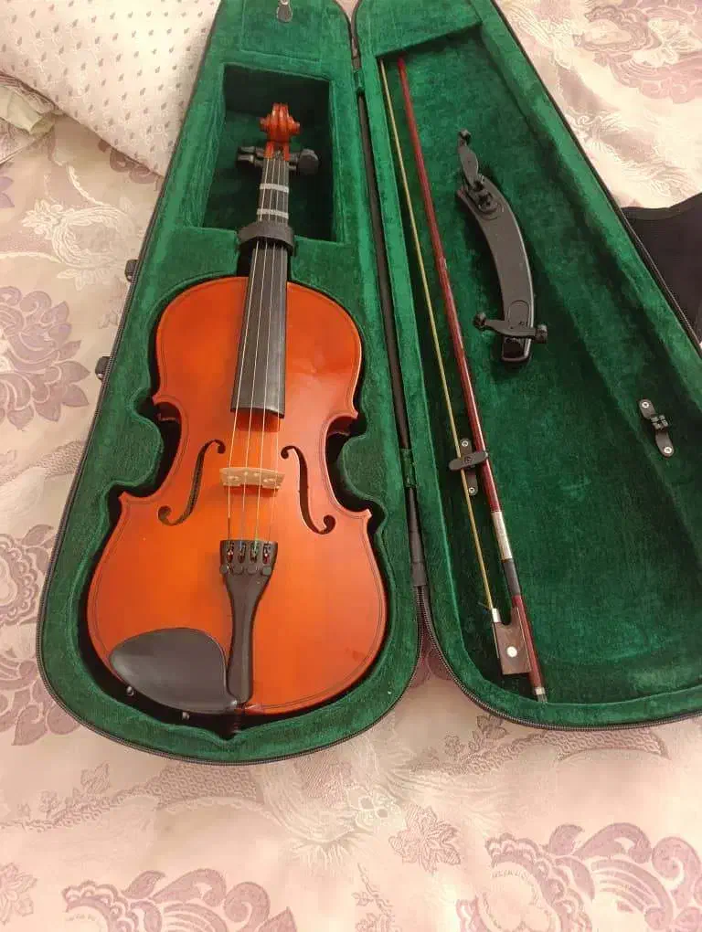 ساز ویولن|ویولن|دامغان, |دیوار