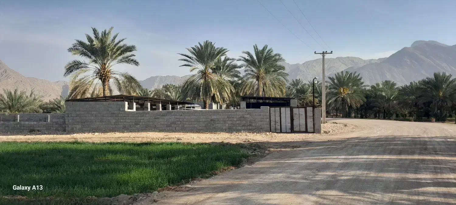 اجاره دامداری|اجارهٔ دفتر صنعتی، کشاورزی، تجاری|احمدی, |دیوار