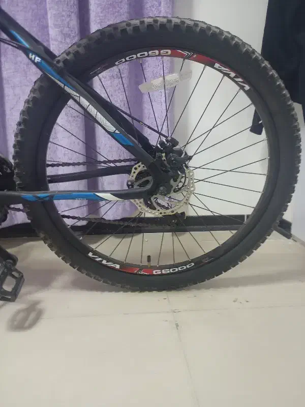 دوچرخه ویوا viva|دوچرخه، اسکیت، اسکوتر|پرند, فاز ۶|دیوار