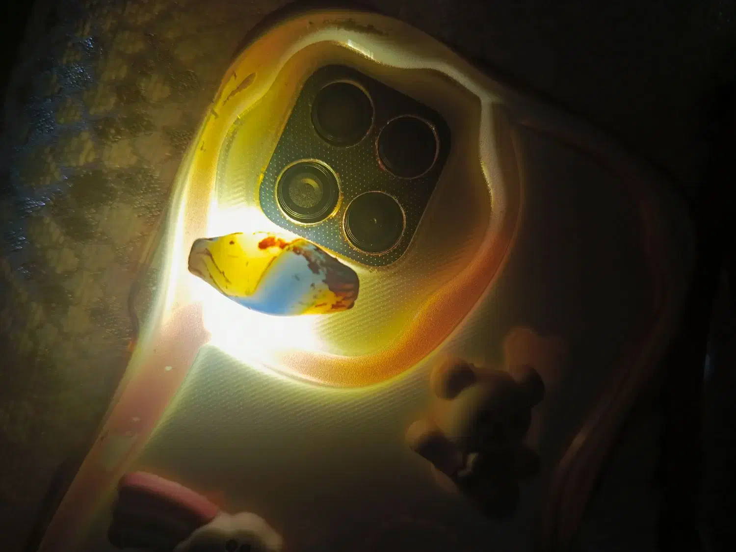 کلکسیون|کلکسیون سکه، تمبر، اسکناس|دورود, |دیوار