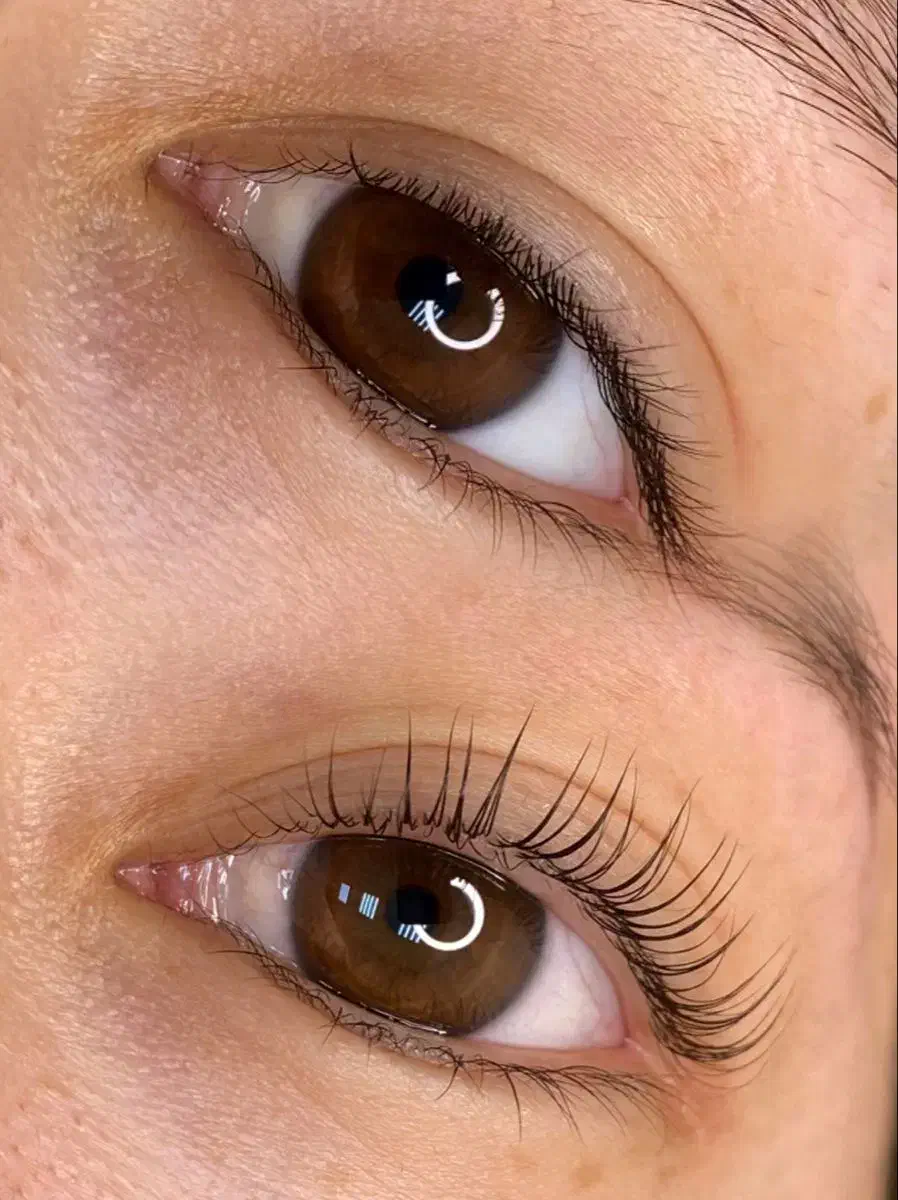 تخفیف یلدایی لیفت مژه و ابرو|خدمات آرایشگری و زیبایی|بندر گناوه, |دیوار