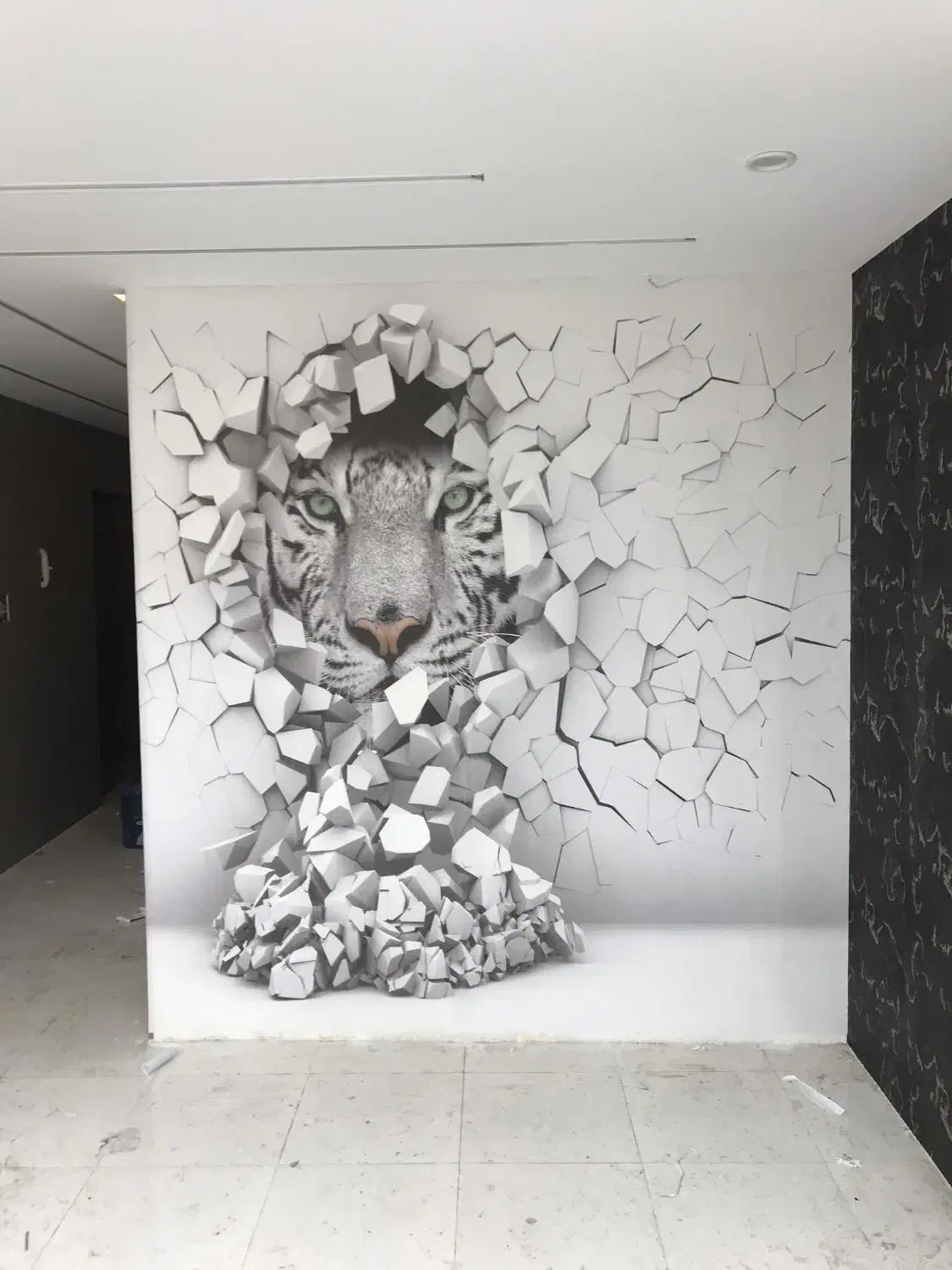 فروش و نصب کاغذ دیواری|خدمات پیشه و مهارت|پاکدشت, پاکدشت (مامازند)|دیوار