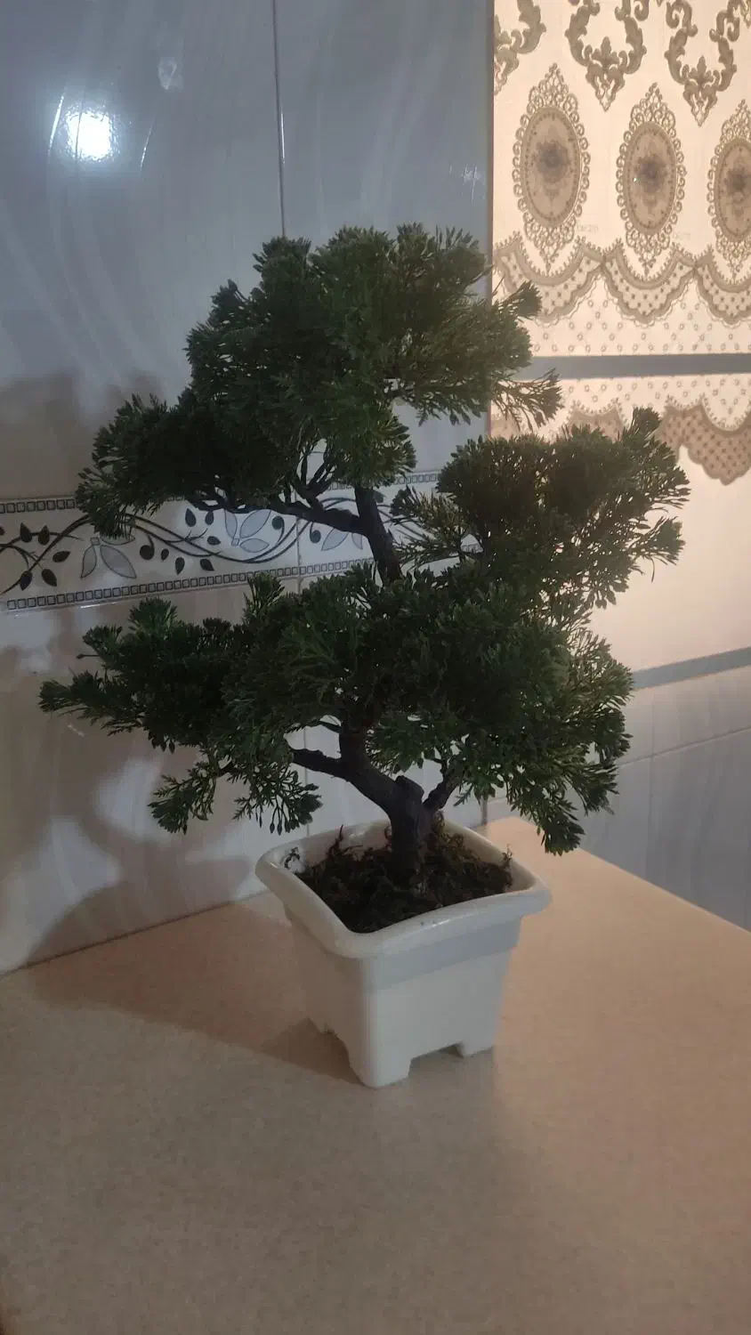 گل‌های آپارتمانی|گل مصنوعی|اسلام‌شهر, مطهری|دیوار