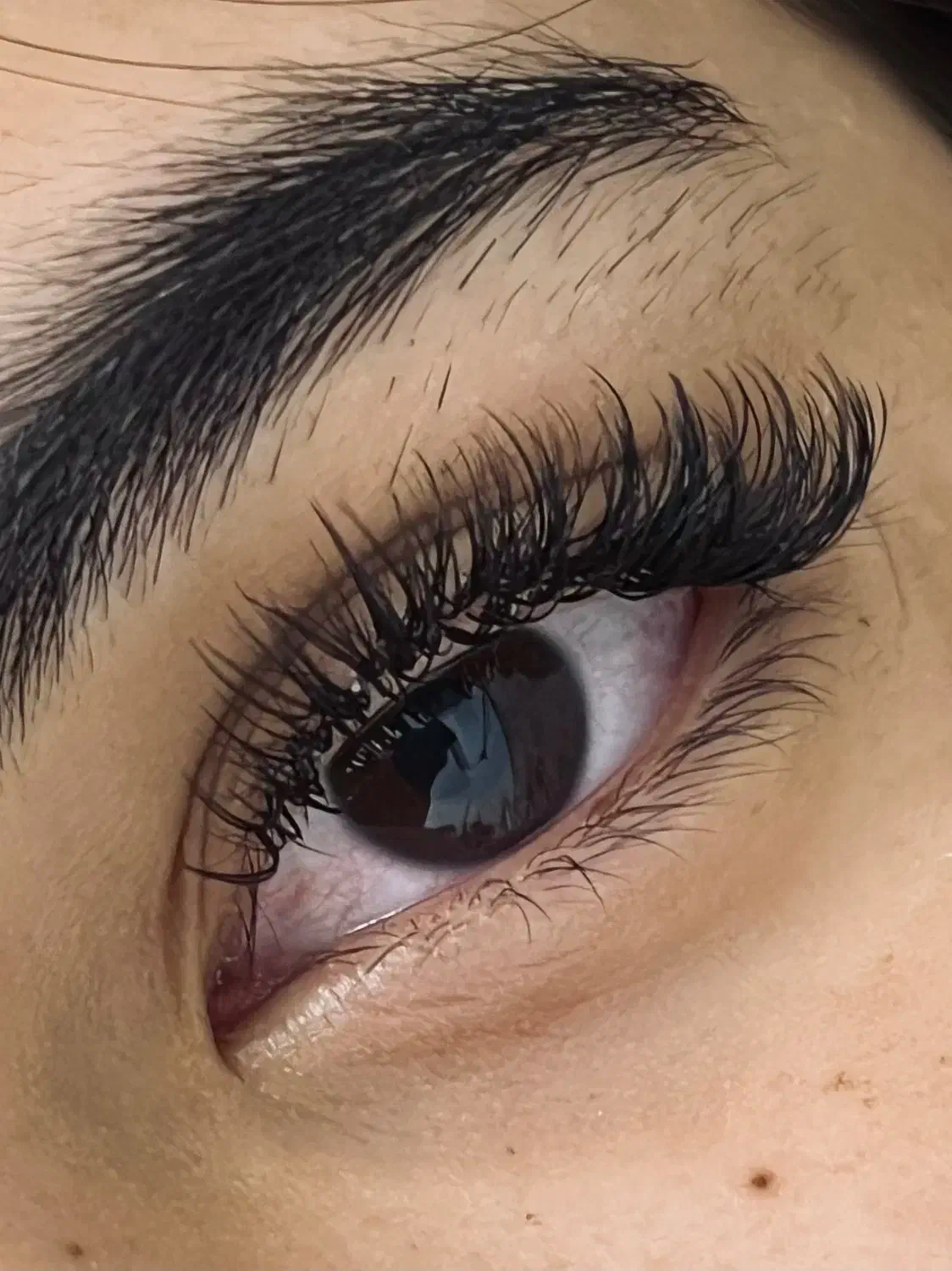 ده درصد تخفیف اکستنشن مژه و لیفت و لمینت مژه|خدمات آرایشگری و زیبایی|گنبد کاووس, |دیوار