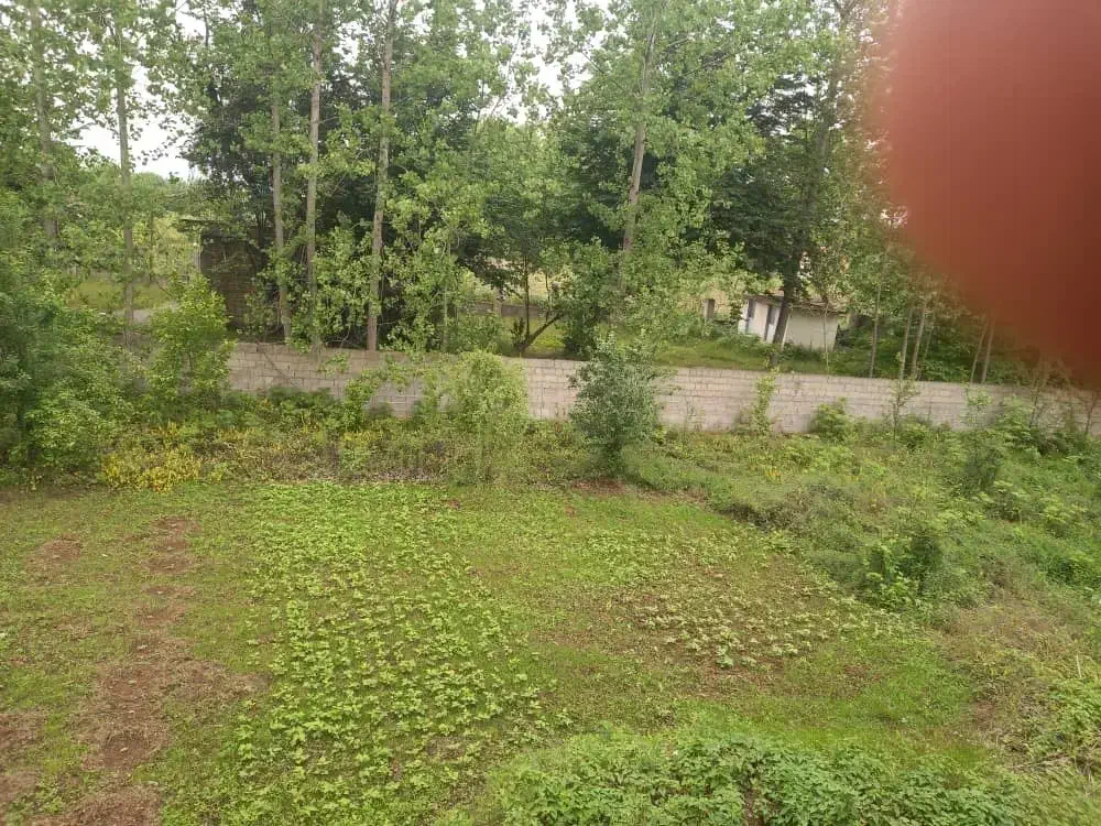 ویلای باغ ۲ هزار متری جاده ماسال|فروش خانه و ویلا|طاهرگوراب, |دیوار