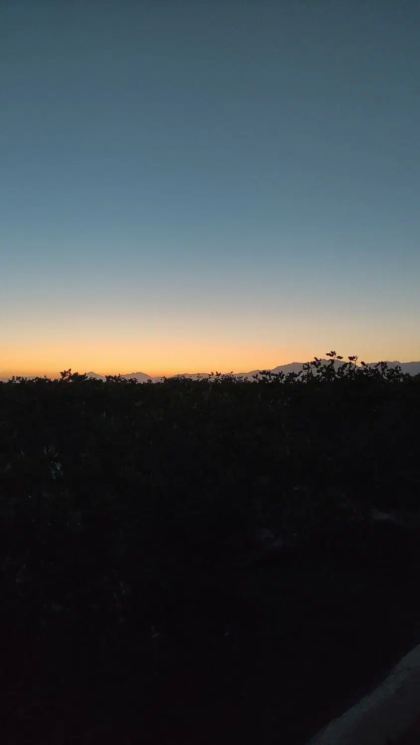 پیکان وانت سفید فروشی|خودرو سواری و وانت|دامغان, |دیوار