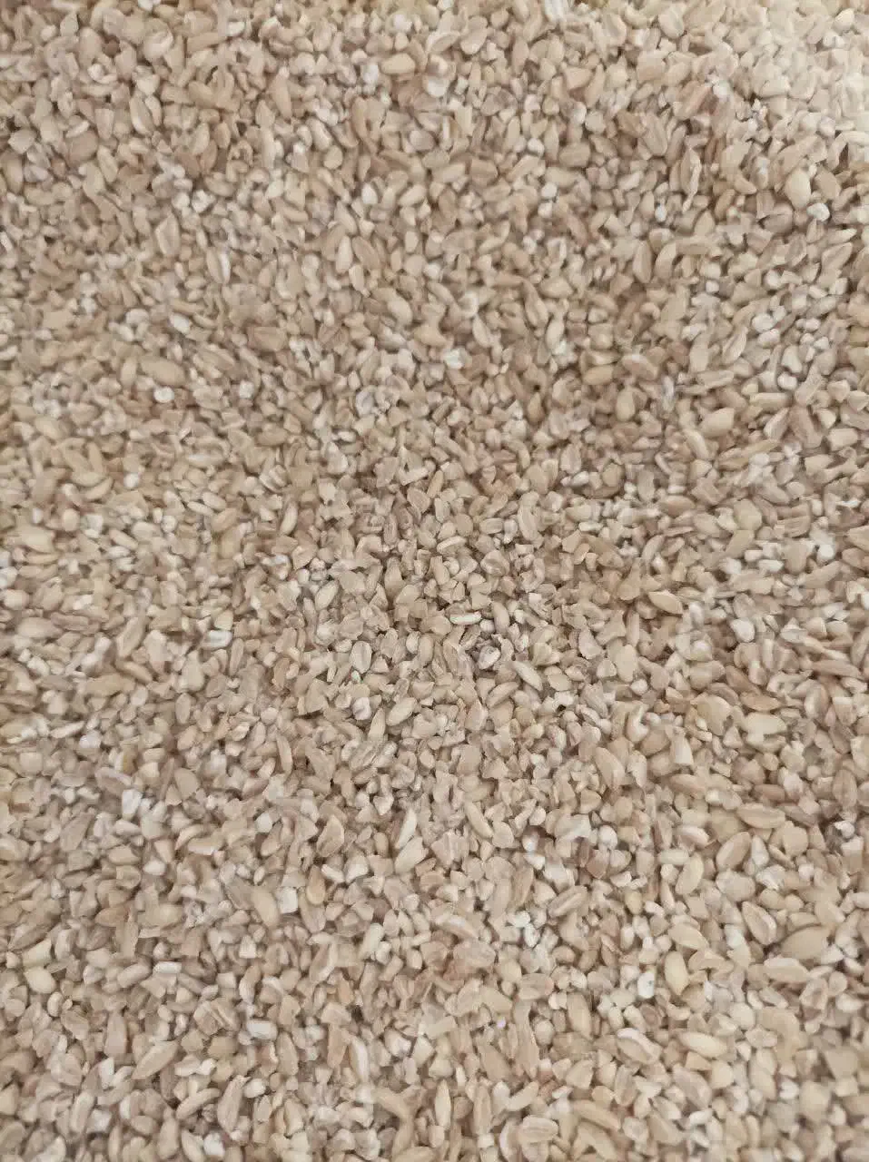 بلغور گندم|خوردنی و آشامیدنی|تهران, منیریه|دیوار