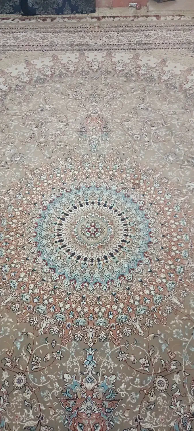 فرش 12متری|فرش|بندر گز, |دیوار