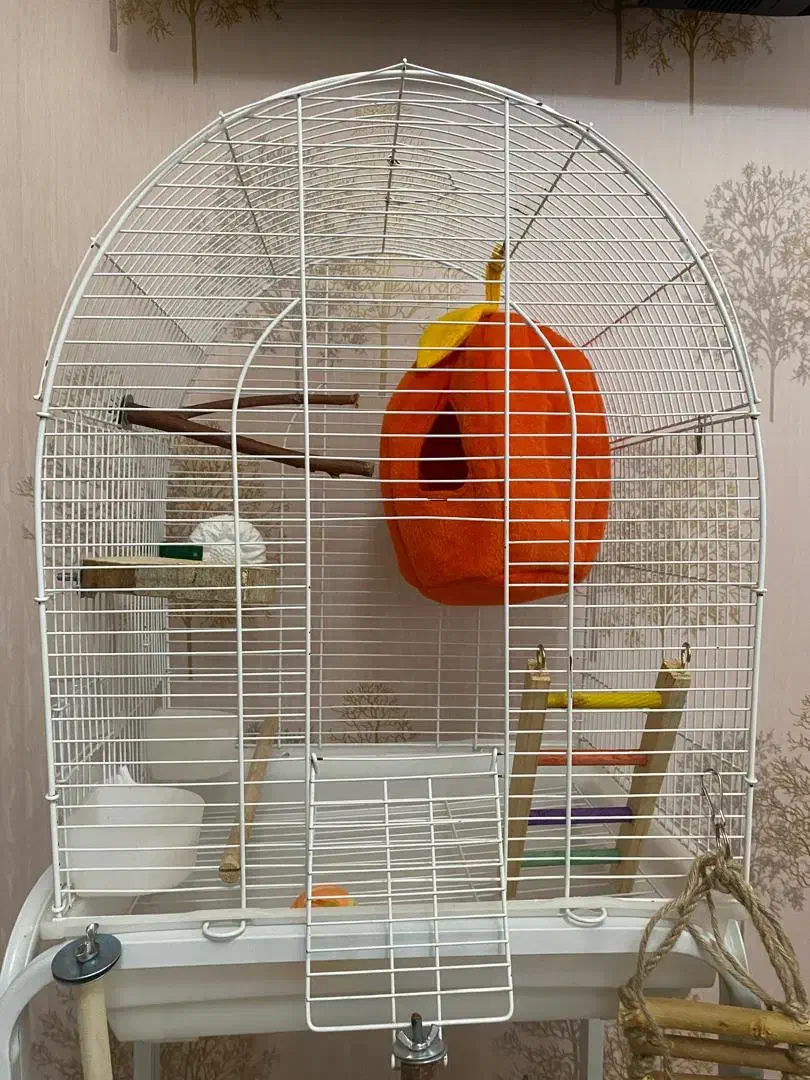 ۲ عدد قفس پرنده بهمراه ملزومات|لوازم جانبی حیوانات|رشت, کوی بیانی|دیوار